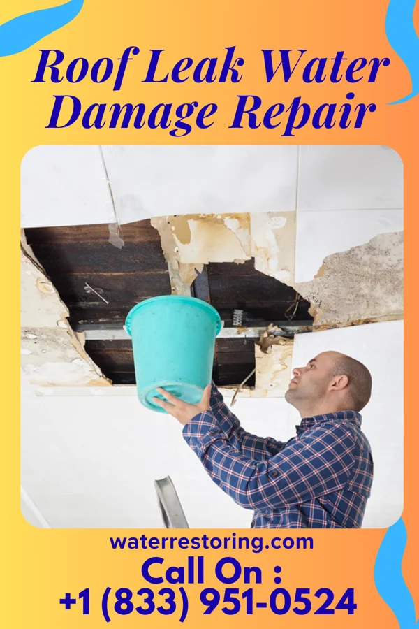Roof Leak Water Damage Repair in Dover, AR